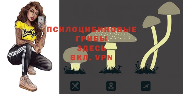 ALPHA PVP Алексин