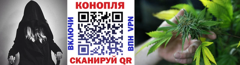 Канабис сатива  площадка формула  Южно-Сухокумск 